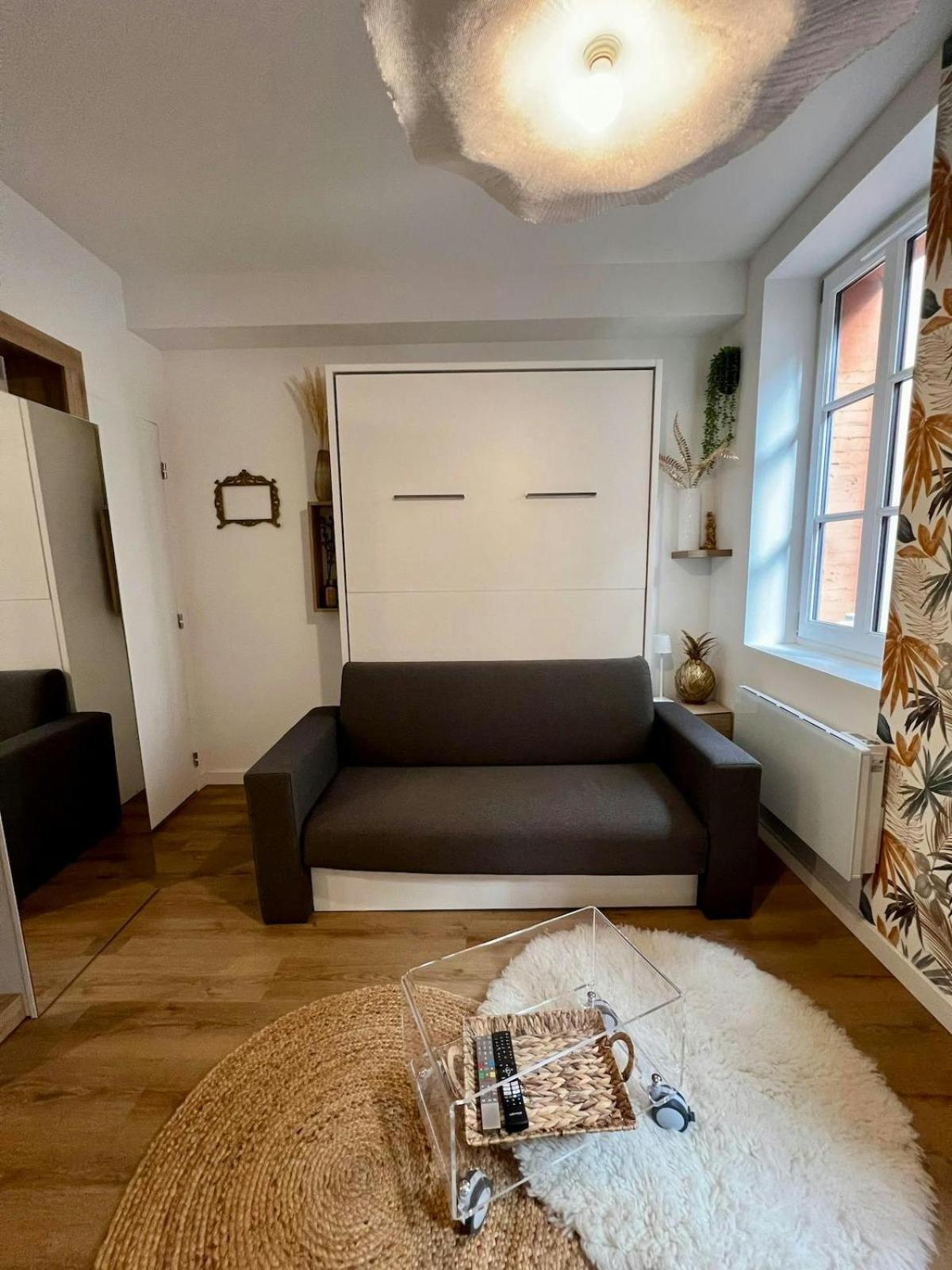 Apartamento Casa Nostra - T1 - Terrasse Privative Toulouse Exterior foto